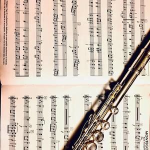 Meet your Posher, Addison